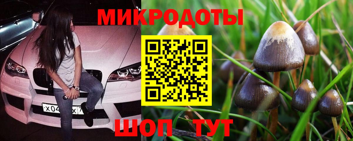 Галлюциногенные грибы прущие грибы  как найти наркотики  Вход с VPN  Домодедово  Галлюциногенные грибы мицелий 