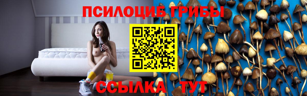  COCAIN Домодедово